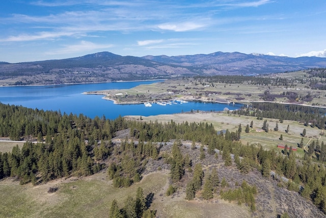 birds eye view of property featuring a water and mountain view and a view of trees