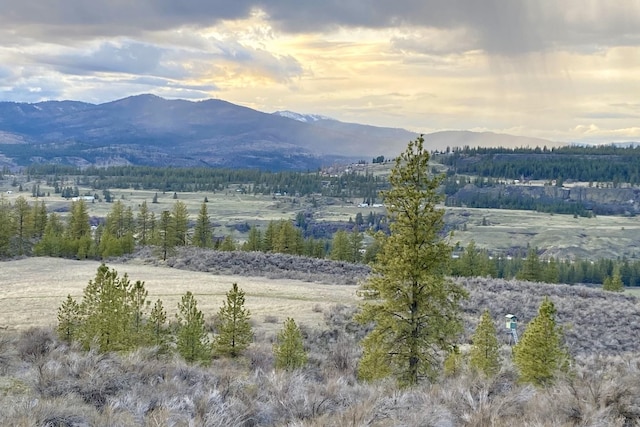 mountain view