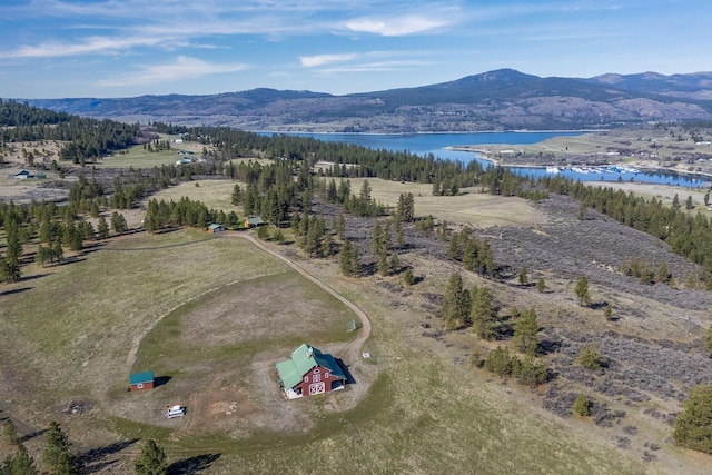 birds eye view of property featuring a water and mountain view
