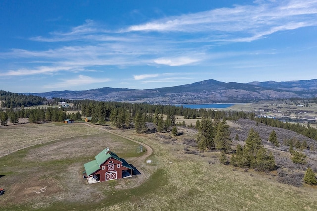birds eye view of property featuring a mountain view