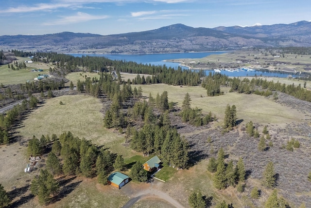 bird's eye view featuring a water and mountain view