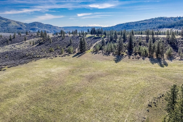 bird's eye view with a mountain view