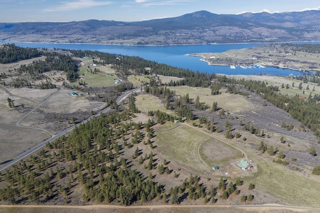 aerial view with a water and mountain view
