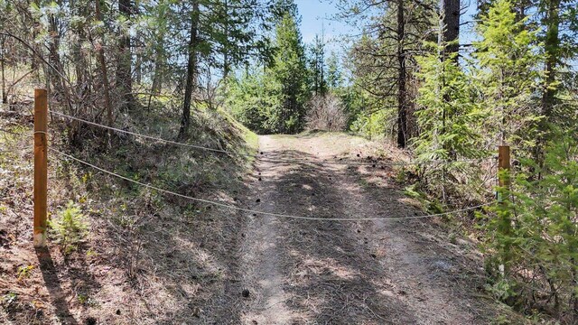 5324 Olinger Rd, Springdale, WA 99173