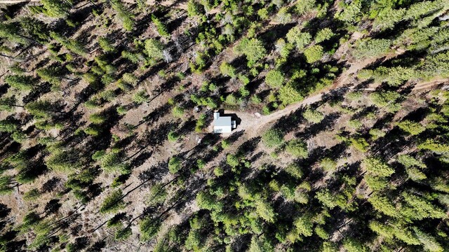 5324 Olinger Rd, Springdale, WA 99173