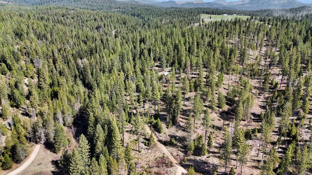 5324 Olinger Rd, Springdale, WA 99173