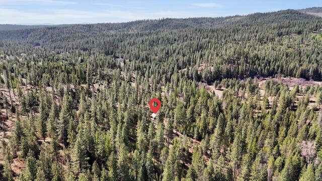 5324 Olinger Rd, Springdale, WA 99173