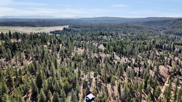 5324 Olinger Rd, Springdale, WA 99173