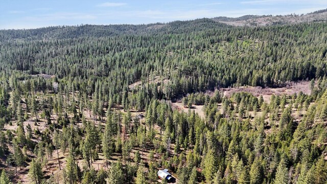 5324 Olinger Rd, Springdale, WA 99173