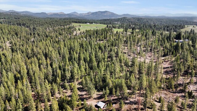 5324 Olinger Rd, Springdale, WA 99173