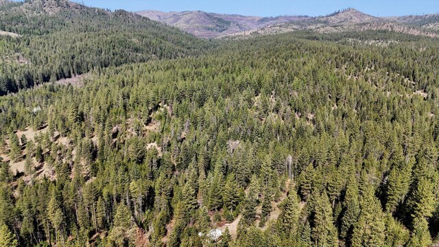 5324 Olinger Rd, Springdale, WA 99173