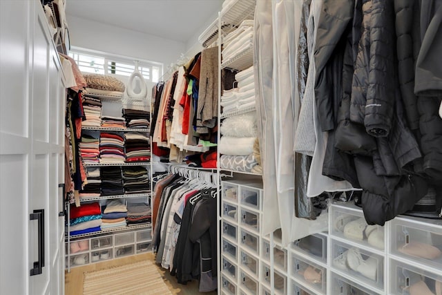 view of walk in closet