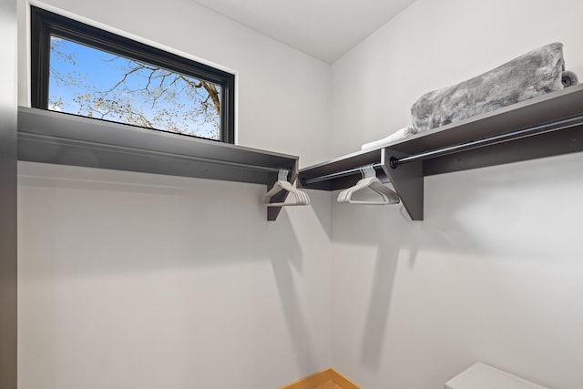 view of spacious closet