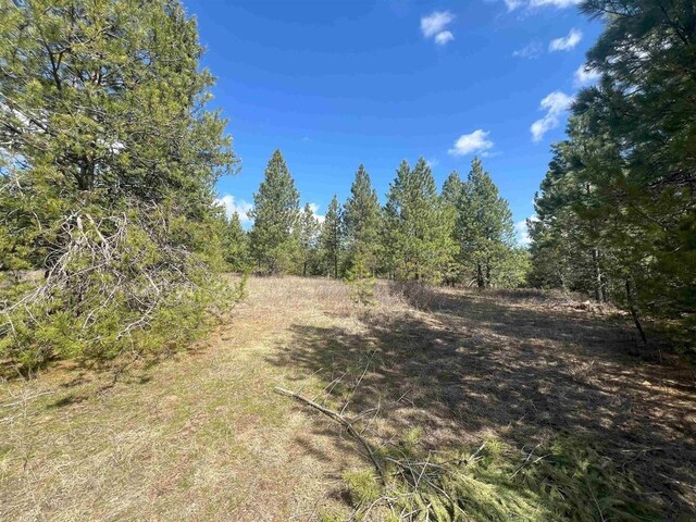 892 W Telephone Rd, Newport, WA 99156