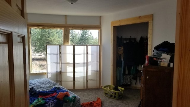 carpeted bedroom featuring multiple windows