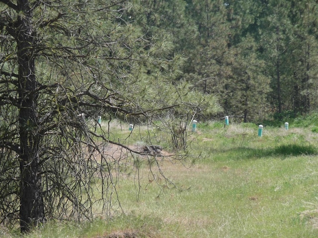 view of landscape