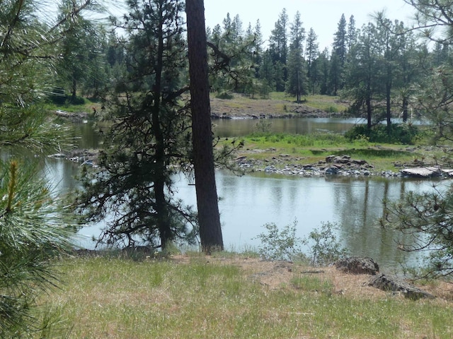 water view