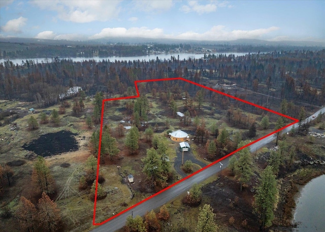 drone / aerial view with a water view and a wooded view