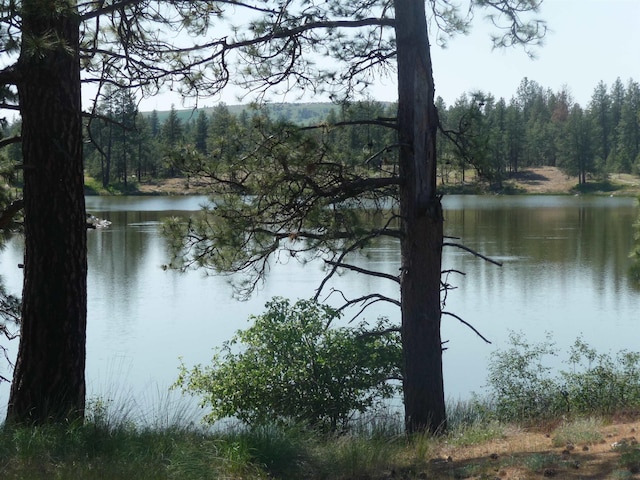 water view featuring a view of trees