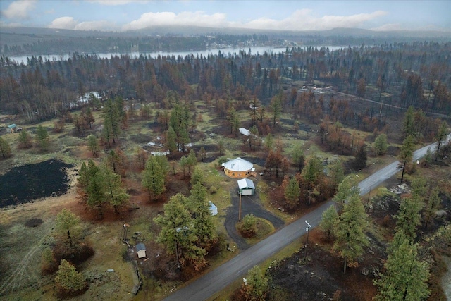 birds eye view of property featuring a water view and a view of trees