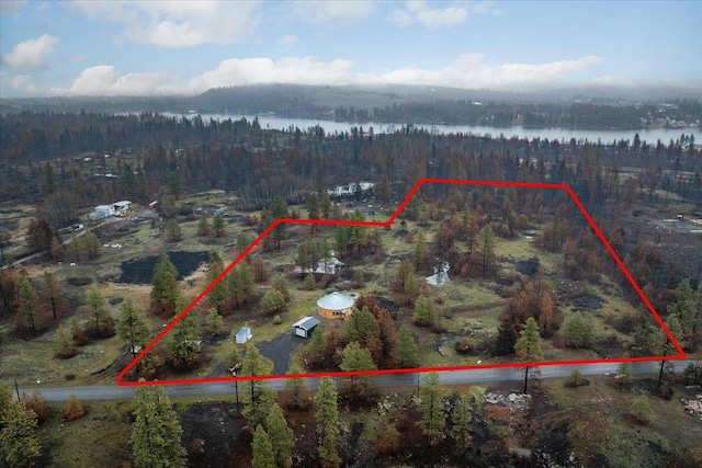 aerial view featuring a water view and a forest view