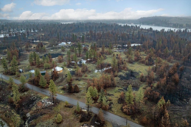 drone / aerial view with a forest view and a water view