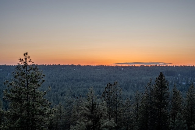 view of mountain feature with a forest view