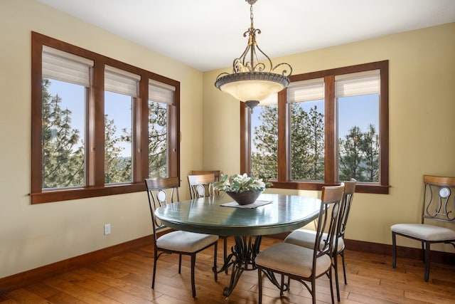 dining room with baseboards and hardwood / wood-style floors