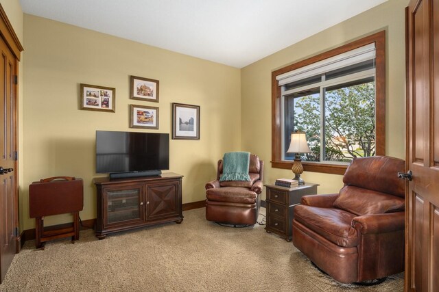living area with baseboards and carpet flooring