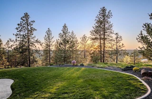 view of yard at dusk
