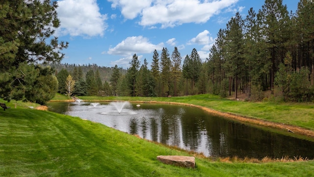 water view with a forest view