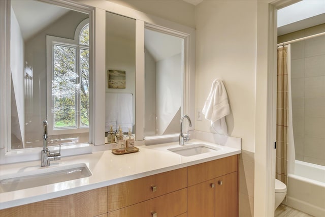 bathroom featuring a sink, plenty of natural light, and double vanity