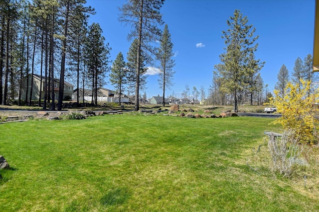 view of yard