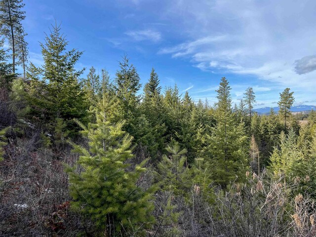 35XX Harms Way, Valley, WA 99181
