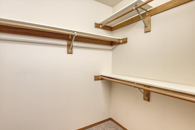walk in closet with carpet