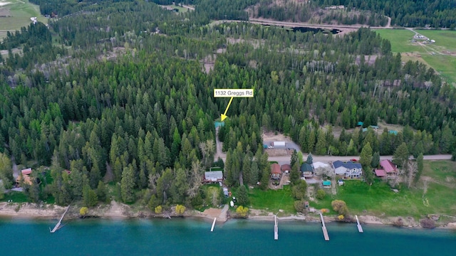 drone / aerial view featuring a water view and a forest view