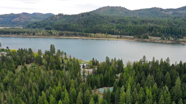 view of water feature with a mountain view and a wooded view