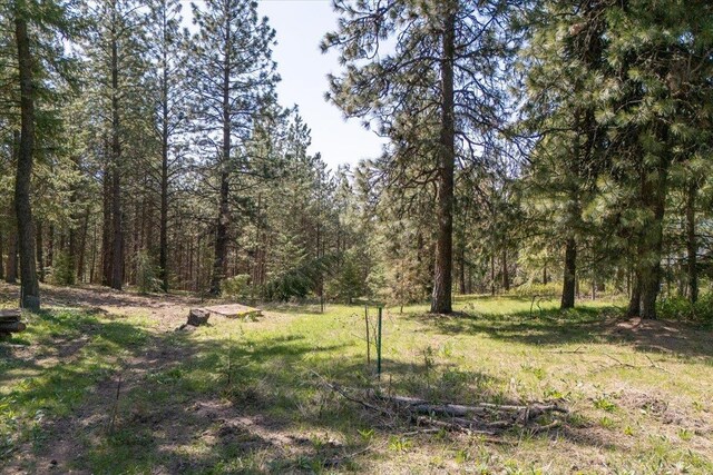 NKA S Park Ln Unit Tr A, Spokane, WA 99223