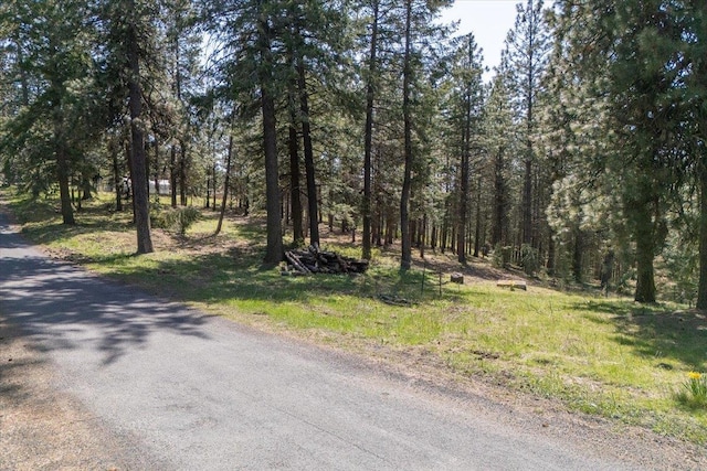 NKA S Park Ln Unit Tr A, Spokane, WA 99223