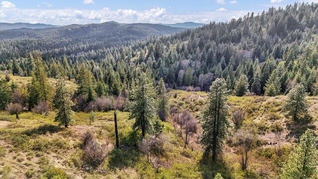 NKA Hershaw Rd, Newport, WA 99156 - photo 13