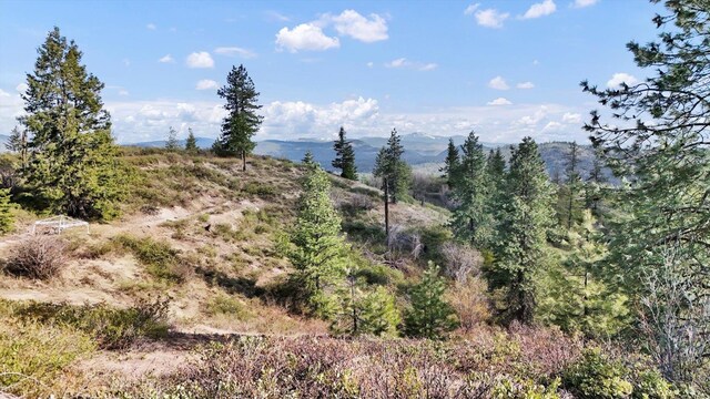 NKA Hershaw Rd, Newport, WA 99156 - photo 18