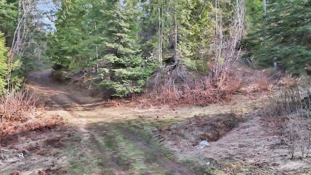 NKA Hershaw Rd, Newport, WA 99156 - photo 20