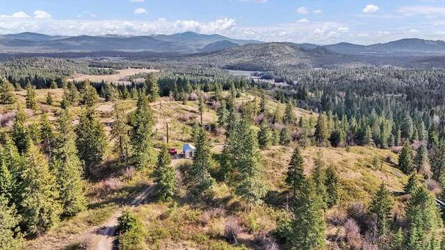 NKA Hershaw Rd, Newport, WA 99156 - photo 10