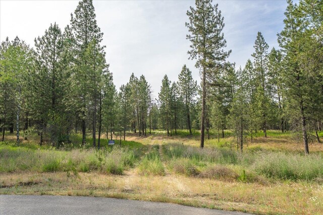 1401 E N Park Ln, Deer Park, WA 99006 - photo 1