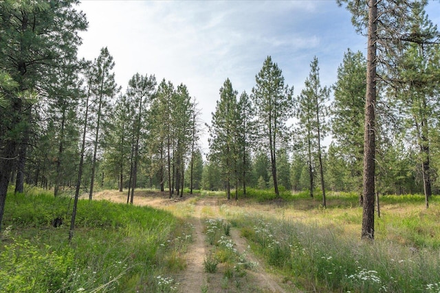 1401 E N Park Ln, Deer Park, WA 99006 - photo 2