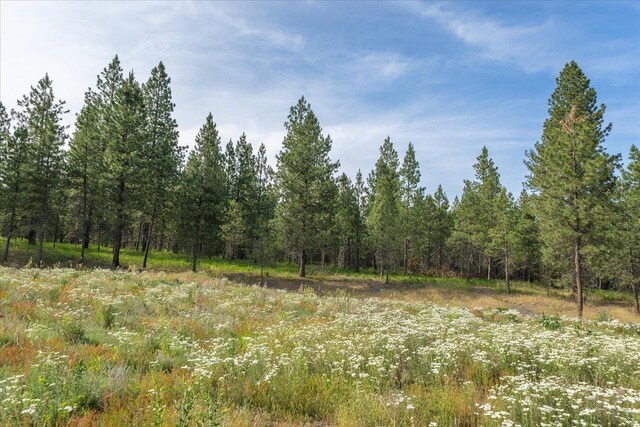 1401 E N Park Ln, Deer Park, WA 99006 - photo 12