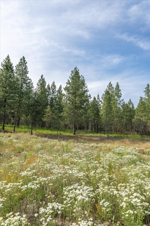 1401 E N Park Ln, Deer Park, WA 99006 - photo 13
