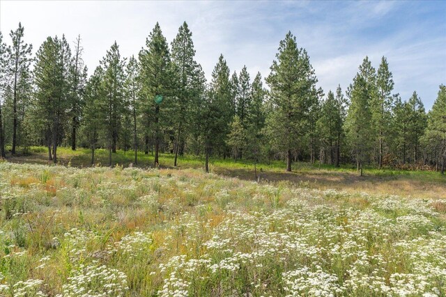 1401 E N Park Ln, Deer Park, WA 99006 - photo 14