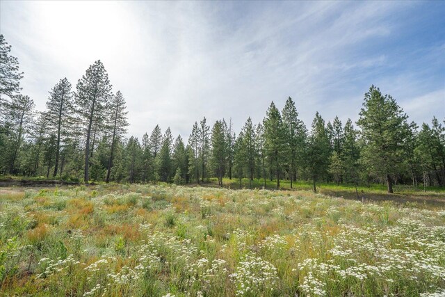 1401 E N Park Ln, Deer Park, WA 99006 - photo 15