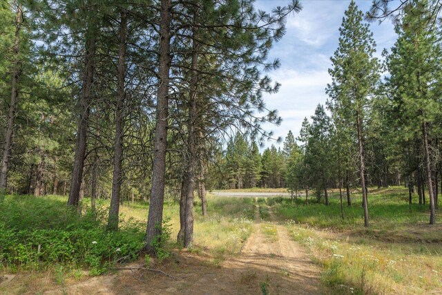 1401 E N Park Ln, Deer Park, WA 99006 - photo 16